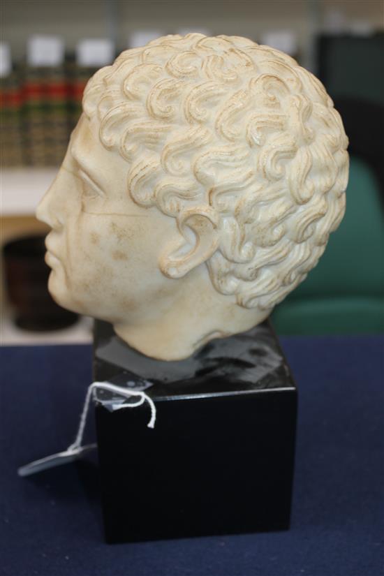 A British Museum simulated marble classical head, 10in.